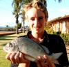 Lee's Bream